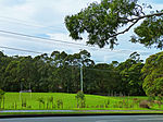 Bicentennial Park, from Yanko Road, West Pymble, New South Wales (2011-06-15)